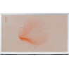 Samsung TV QLED The Serif QE55LS01T Blanc2020