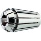 Fahrion Pinces de serrage DIN6499B 430E GERC25 13,0mm