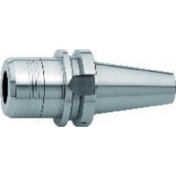 Fahrion Porte-pinces JISB6339ADB CP25 BT40-75