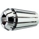 Fahrion Pinces de serrage DIN6499B 426E GERC16 6,0mm