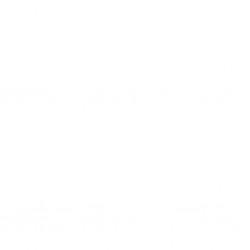 Fujifilm Appareil photo Compact X half X-HF1 Noir