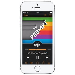 Apple iPhone 5s 16Go argent
